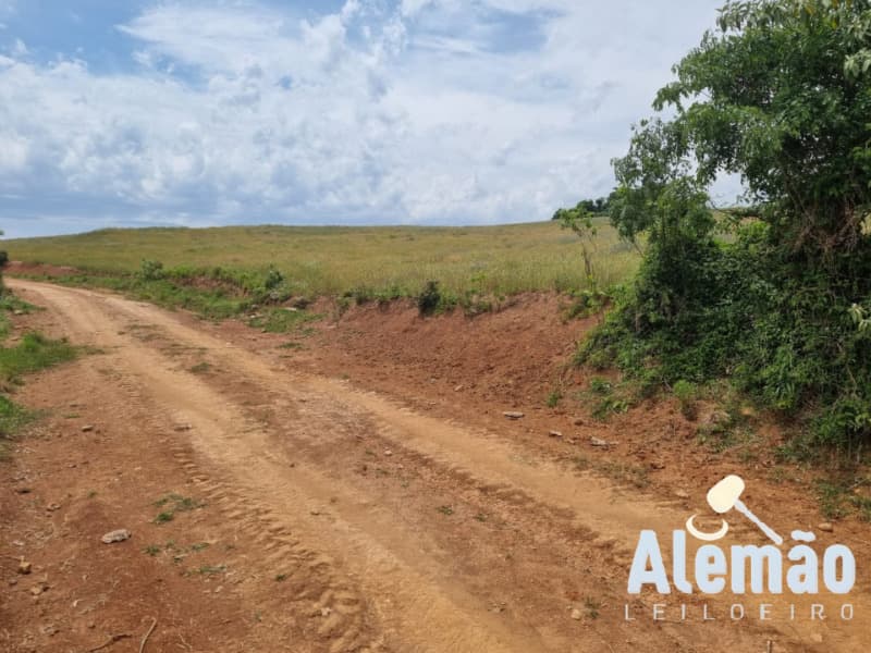 Foto 42 de 46: Area Rural em leilão em Ibirapuitã - RS — LOTE 010 imóvel