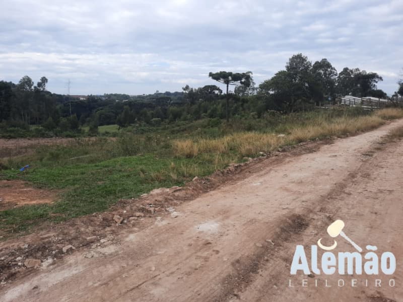 Foto 4 de 10: Area Rural em leilão em Fontoura Xavier - RS — LOTE 014 Imóvel