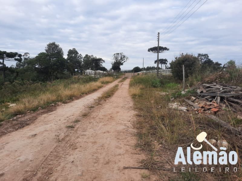 Foto 8 de 10: Area Rural em leilão em Fontoura Xavier - RS — LOTE 014 Imóvel