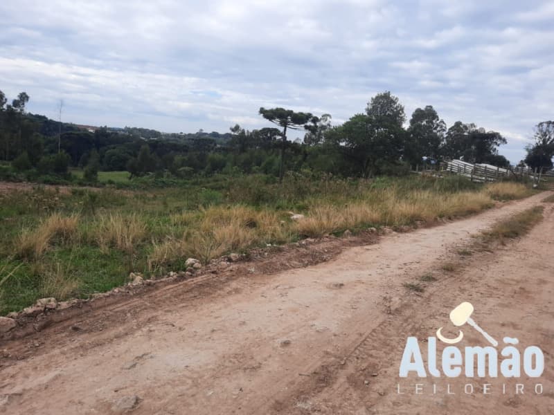 Foto 9 de 10: Area Rural em leilão em Fontoura Xavier - RS — LOTE 014 Imóvel