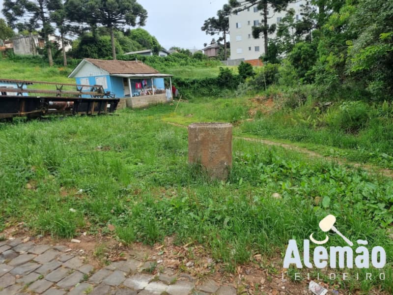 Foto 6 de 14: Terreno em leilão em Soledade - RS, bairro Expedicionário — LOTE 017 Imóvel
