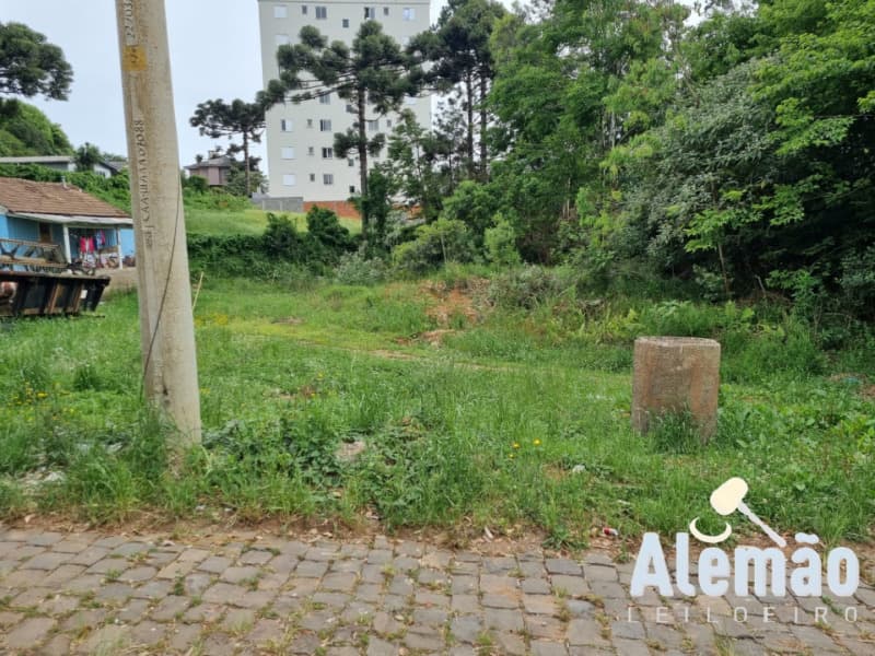 Foto 9 de 14: Terreno em leilão em Soledade - RS, bairro Expedicionário — LOTE 017 Imóvel