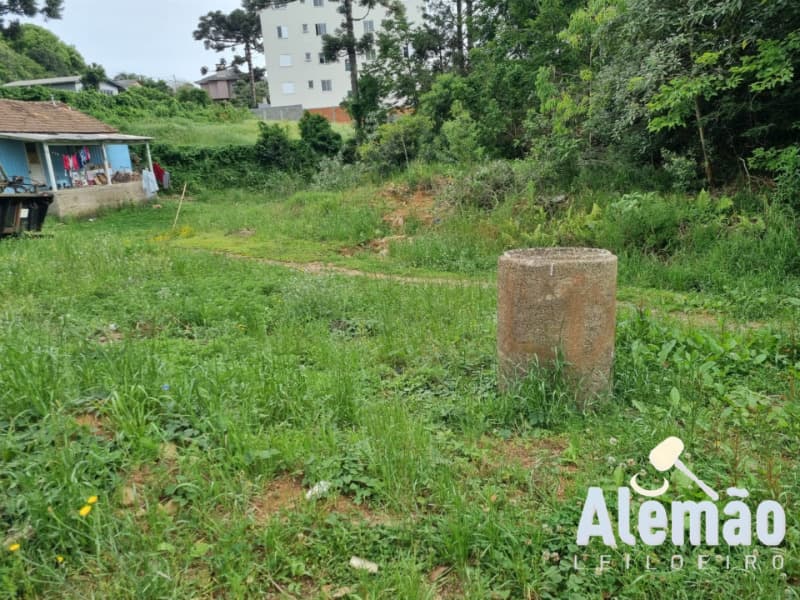 Foto 14 de 14: Terreno em leilão em Soledade - RS, bairro Expedicionário — LOTE 017 Imóvel