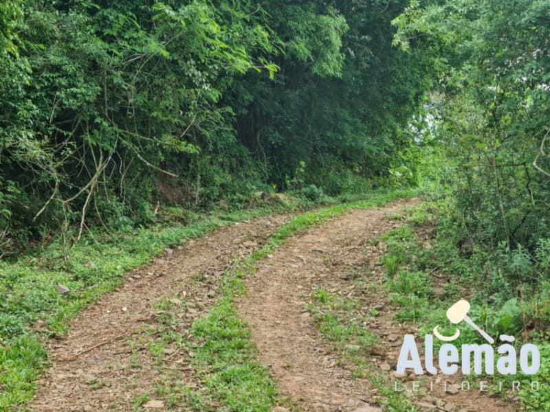 Foto 11 de 44: Terreno em leilão em Itapuca - RS — LOTE 018 Imóvel