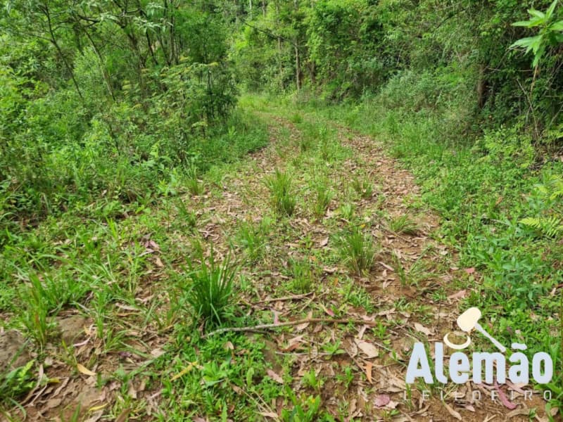 Foto 2 de 44: Terreno em leilão em Itapuca - RS — LOTE 018 Imóvel