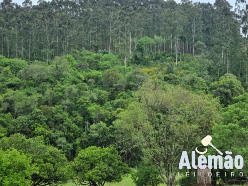 Foto 3 de 44: Terreno em leilão em Itapuca - RS — LOTE 018 Imóvel