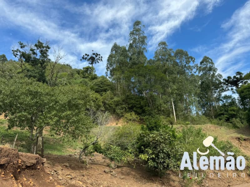 Foto 5 de 44: Terreno em leilão em Itapuca - RS — LOTE 018 Imóvel