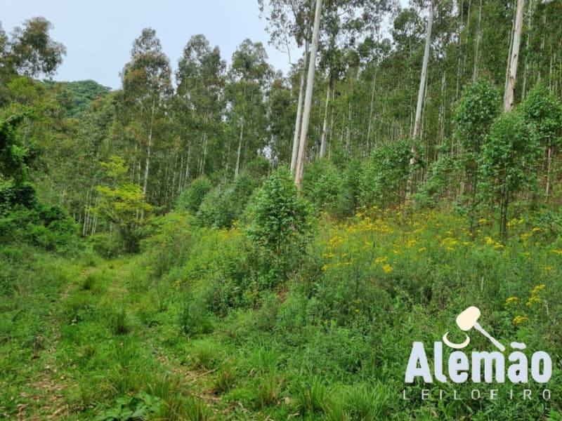 Foto 6 de 44: Terreno em leilão em Itapuca - RS — LOTE 018 Imóvel