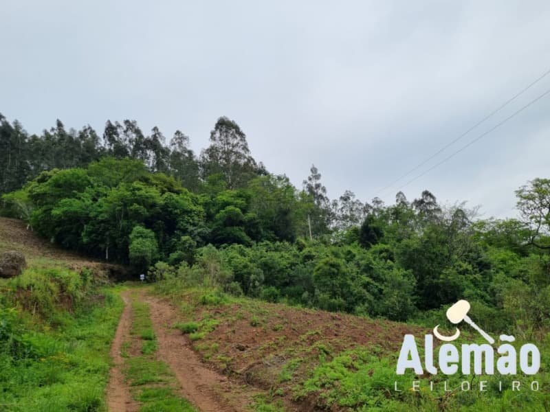 Foto 8 de 44: Terreno em leilão em Itapuca - RS — LOTE 018 Imóvel