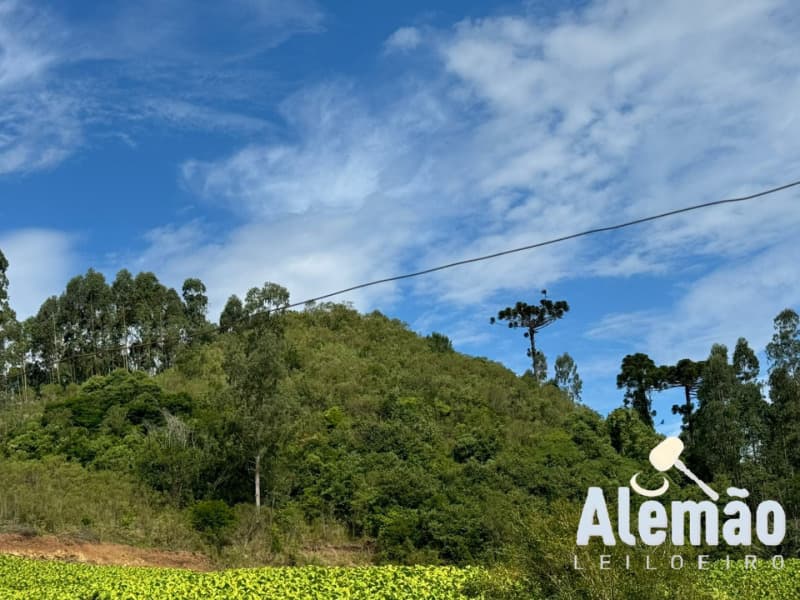 Foto 9 de 44: Terreno em leilão em Itapuca - RS — LOTE 018 Imóvel