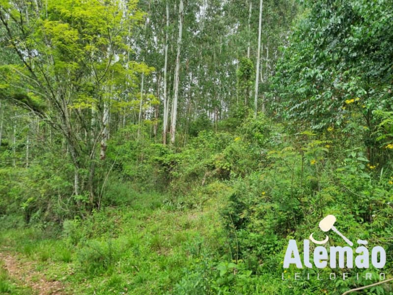 Foto 10 de 44: Terreno em leilão em Itapuca - RS — LOTE 018 Imóvel