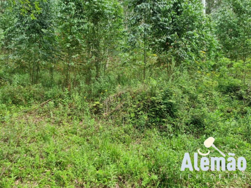 Foto 1 de 44: Terreno em leilão em Itapuca - RS — LOTE 018 Imóvel
