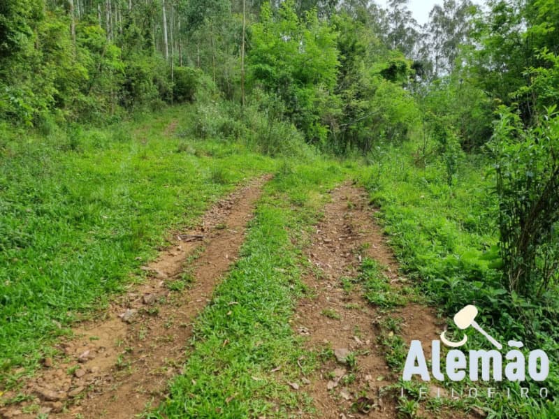 Foto 12 de 44: Terreno em leilão em Itapuca - RS — LOTE 018 Imóvel