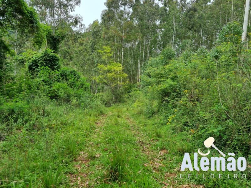 Foto 13 de 44: Terreno em leilão em Itapuca - RS — LOTE 018 Imóvel