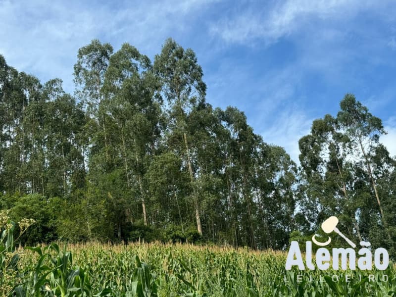 Foto 14 de 44: Terreno em leilão em Itapuca - RS — LOTE 018 Imóvel