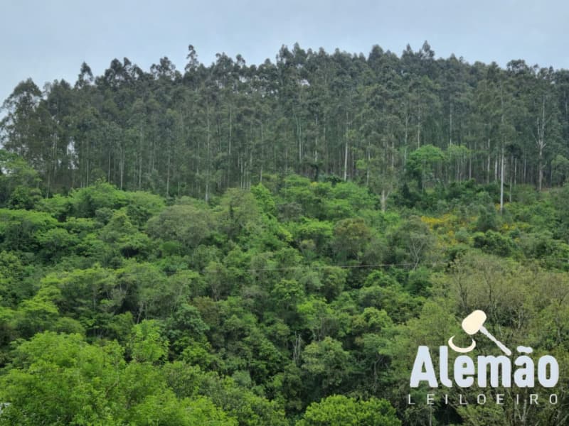 Foto 15 de 44: Terreno em leilão em Itapuca - RS — LOTE 018 Imóvel