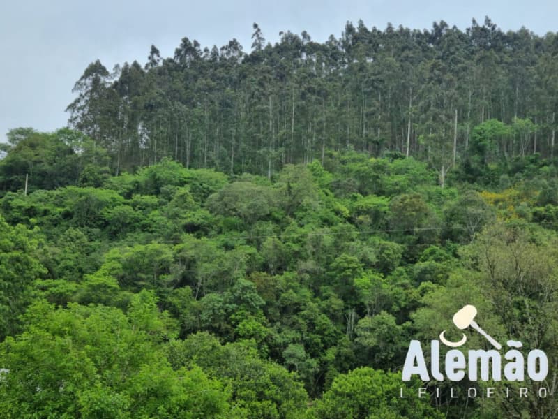 Foto 16 de 44: Terreno em leilão em Itapuca - RS — LOTE 018 Imóvel