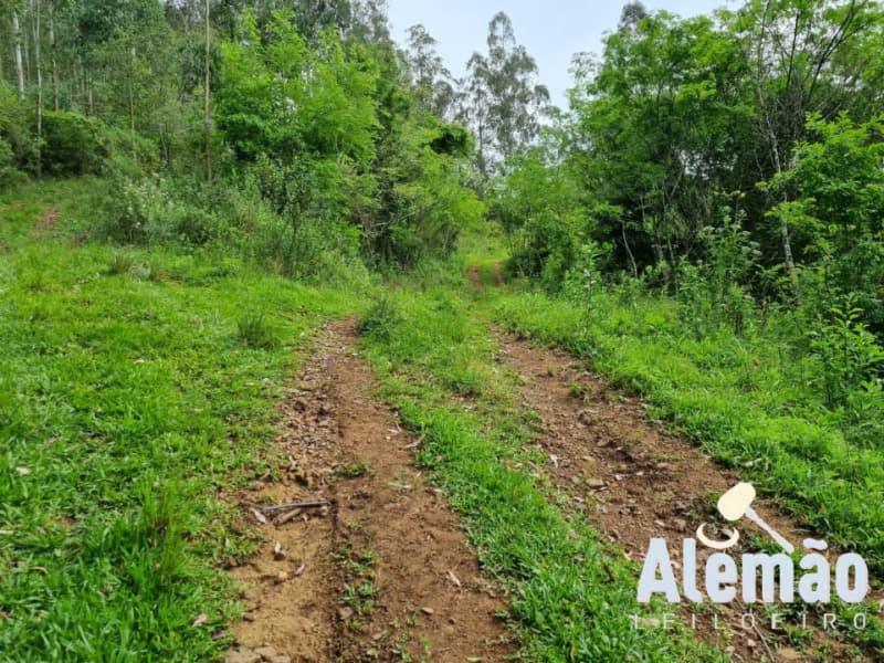 Foto 18 de 44: Terreno em leilão em Itapuca - RS — LOTE 018 Imóvel