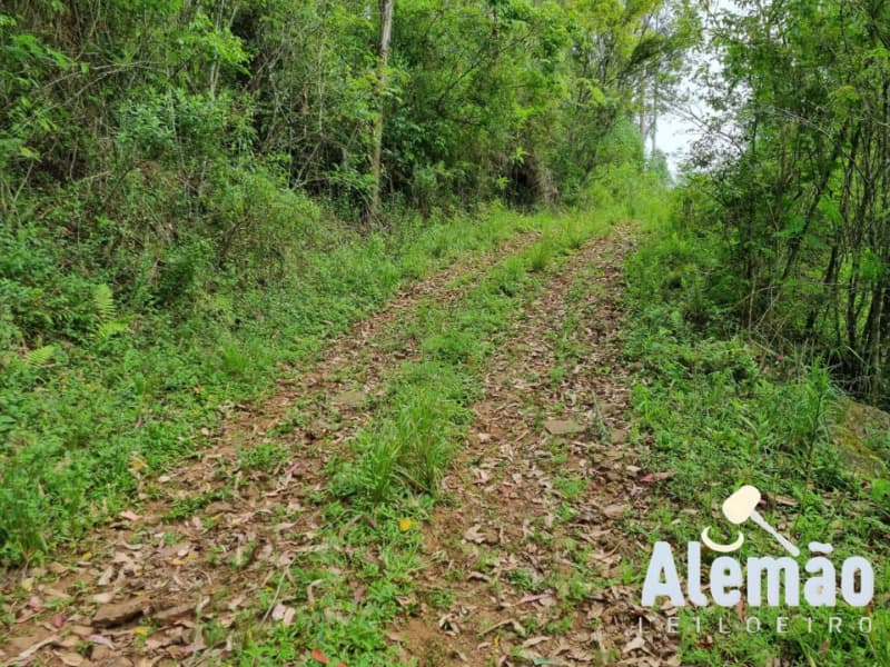 Foto 19 de 44: Terreno em leilão em Itapuca - RS — LOTE 018 Imóvel