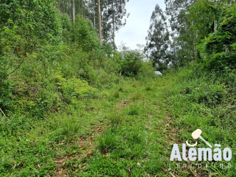 Foto 20 de 44: Terreno em leilão em Itapuca - RS — LOTE 018 Imóvel