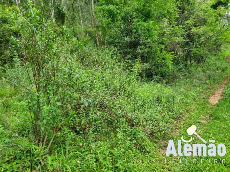 Foto 21 de 44: Terreno em leilão em Itapuca - RS — LOTE 018 Imóvel