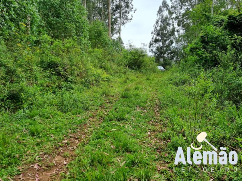 Foto 23 de 44: Terreno em leilão em Itapuca - RS — LOTE 018 Imóvel