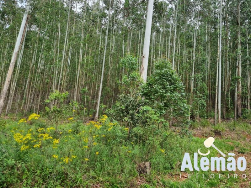 Foto 24 de 44: Terreno em leilão em Itapuca - RS — LOTE 018 Imóvel