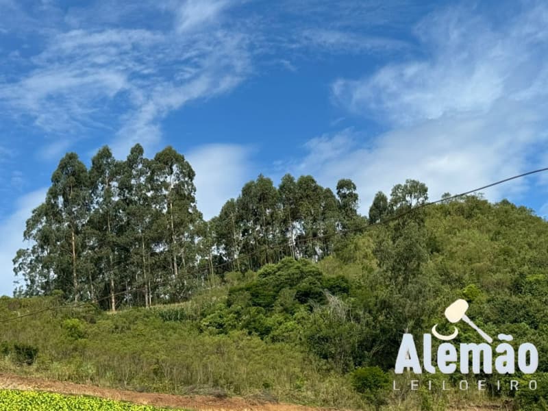 Foto 25 de 44: Terreno em leilão em Itapuca - RS — LOTE 018 Imóvel