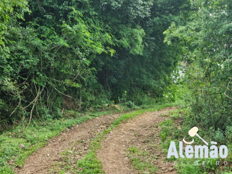 Foto 26 de 44: Terreno em leilão em Itapuca - RS — LOTE 018 Imóvel