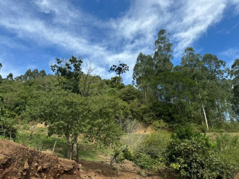Foto 27 de 44: Terreno em leilão em Itapuca - RS — LOTE 018 Imóvel