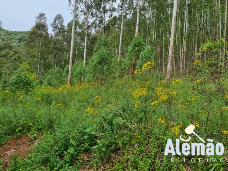 Foto 28 de 44: Terreno em leilão em Itapuca - RS — LOTE 018 Imóvel