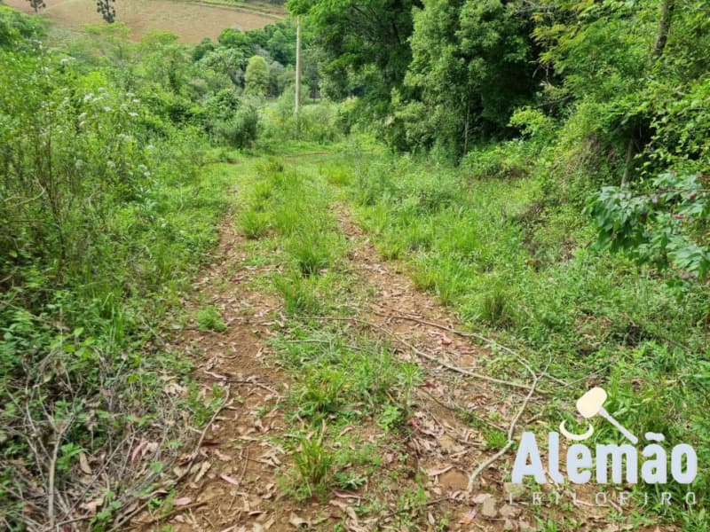 Foto 29 de 44: Terreno em leilão em Itapuca - RS — LOTE 018 Imóvel