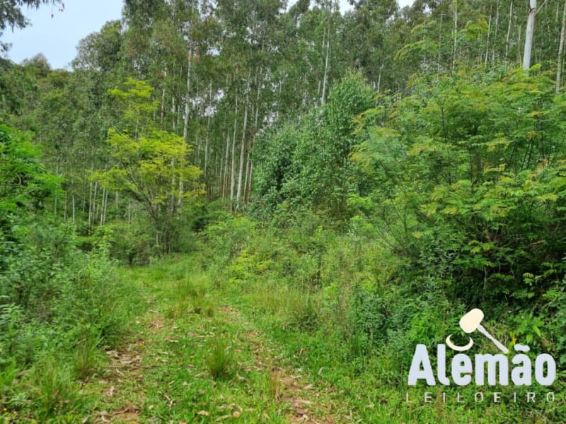 Foto 32 de 44: Terreno em leilão em Itapuca - RS — LOTE 018 Imóvel