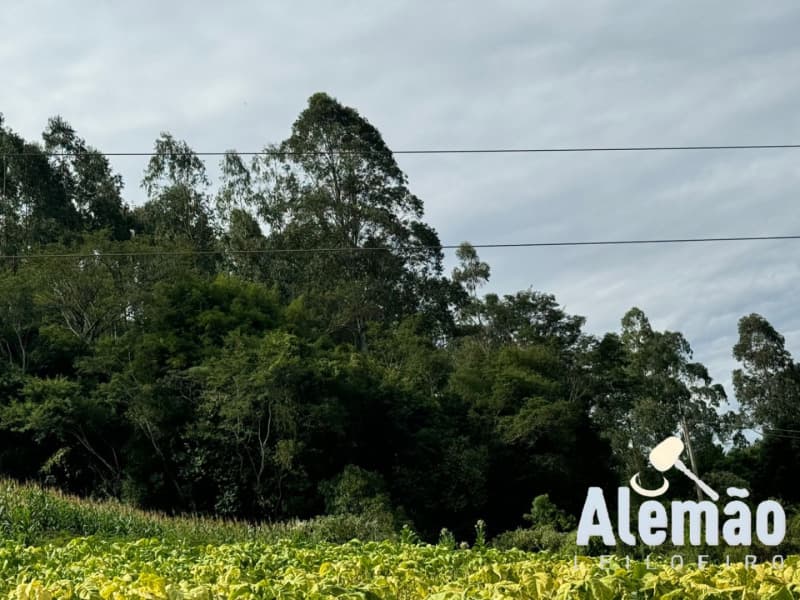 Foto 33 de 44: Terreno em leilão em Itapuca - RS — LOTE 018 Imóvel