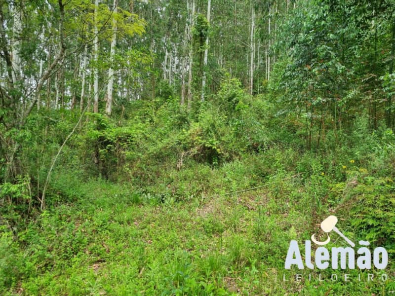 Foto 34 de 44: Terreno em leilão em Itapuca - RS — LOTE 018 Imóvel