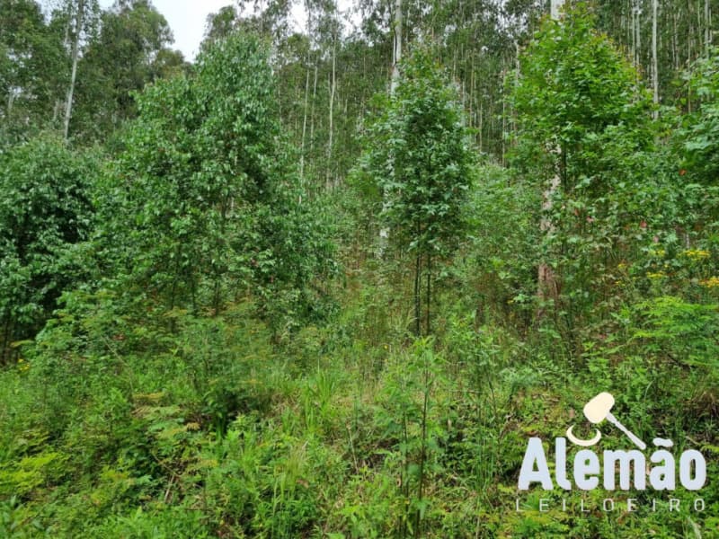 Foto 35 de 44: Terreno em leilão em Itapuca - RS — LOTE 018 Imóvel