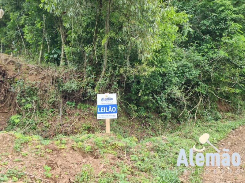 Foto 37 de 44: Terreno em leilão em Itapuca - RS — LOTE 018 Imóvel