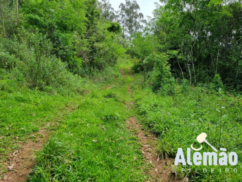 Foto 39 de 44: Terreno em leilão em Itapuca - RS — LOTE 018 Imóvel