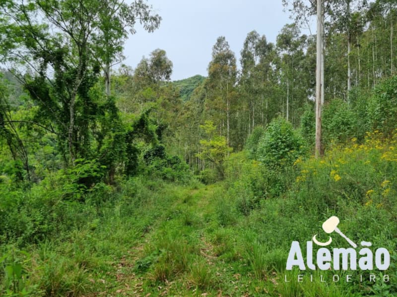 Foto 40 de 44: Terreno em leilão em Itapuca - RS — LOTE 018 Imóvel