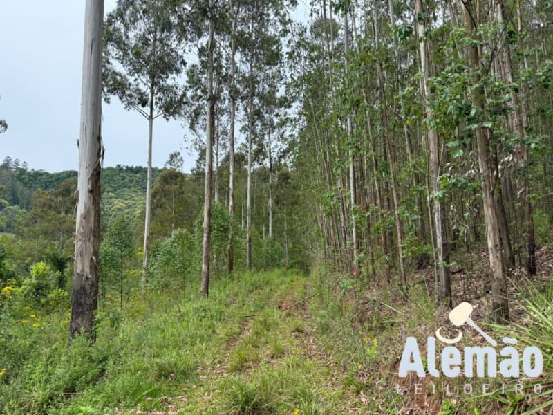 Foto 41 de 44: Terreno em leilão em Itapuca - RS — LOTE 018 Imóvel