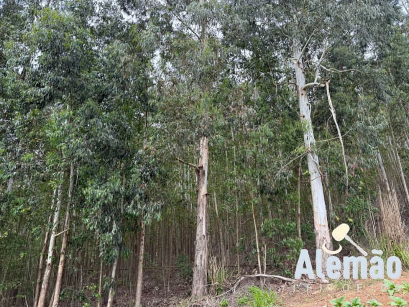 Foto 42 de 44: Terreno em leilão em Itapuca - RS — LOTE 018 Imóvel