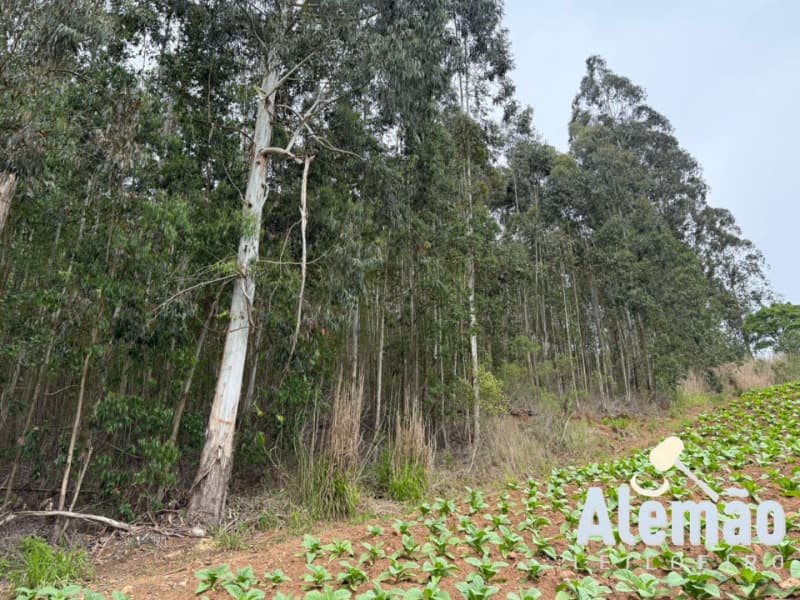 Foto 43 de 44: Terreno em leilão em Itapuca - RS — LOTE 018 Imóvel