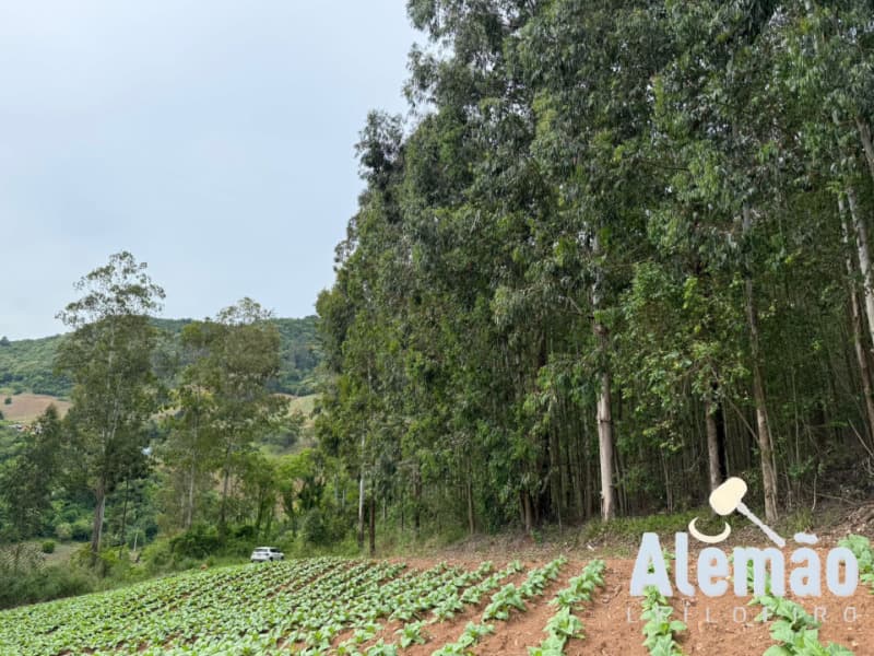 Foto 44 de 44: Terreno em leilão em Itapuca - RS — LOTE 018 Imóvel