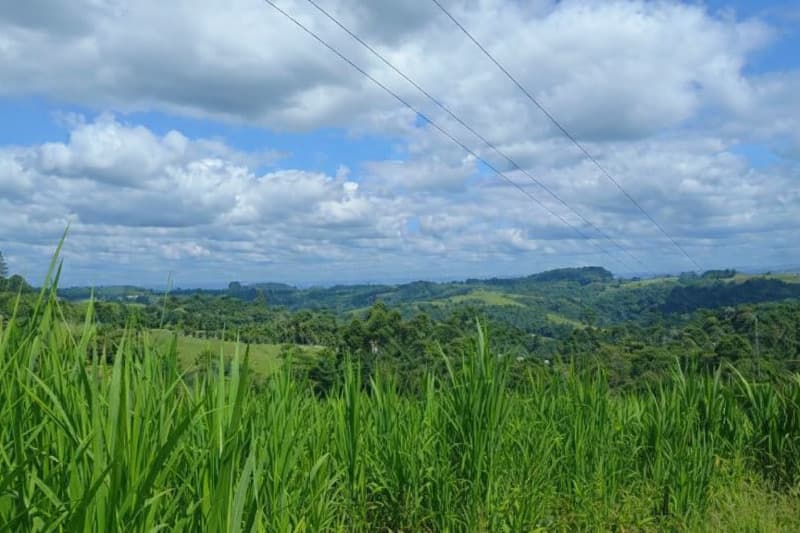 Foto 4 de 8: Terreno em leilão em Laurentino - SC — LOTE 001 Imóvel