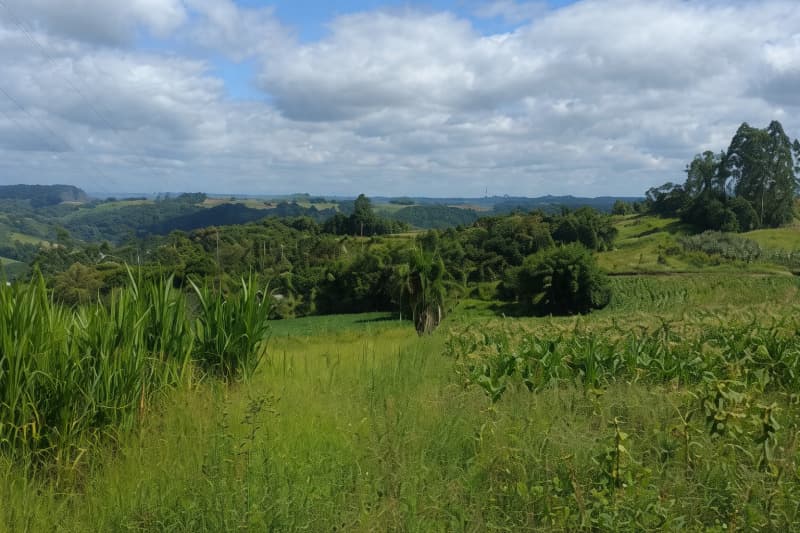 Foto 8 de 8: Terreno em leilão em Laurentino - SC — LOTE 001 Imóvel