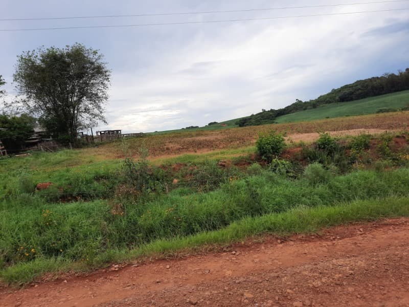 Foto 2 de 11: Terreno em leilão em Ibirapuitã - RS — LOTE 001 Imóvel