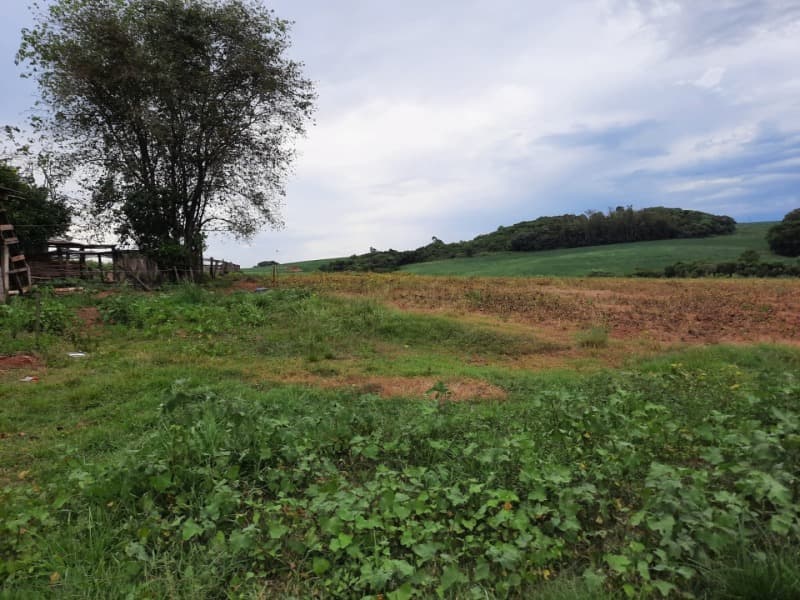 Foto 3 de 11: Terreno em leilão em Ibirapuitã - RS — LOTE 001 Imóvel