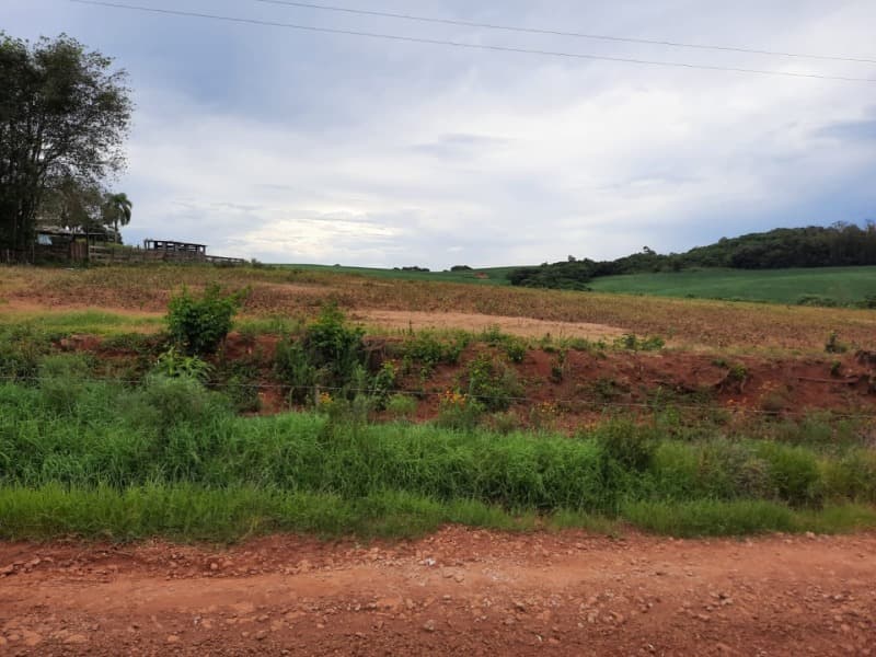 Foto 5 de 11: Terreno em leilão em Ibirapuitã - RS — LOTE 001 Imóvel