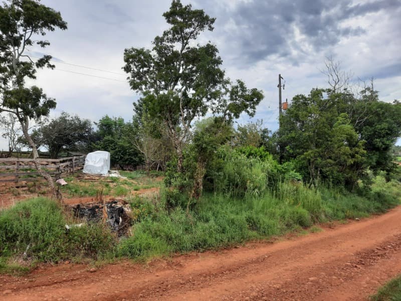 Foto 6 de 11: Terreno em leilão em Ibirapuitã - RS — LOTE 001 Imóvel