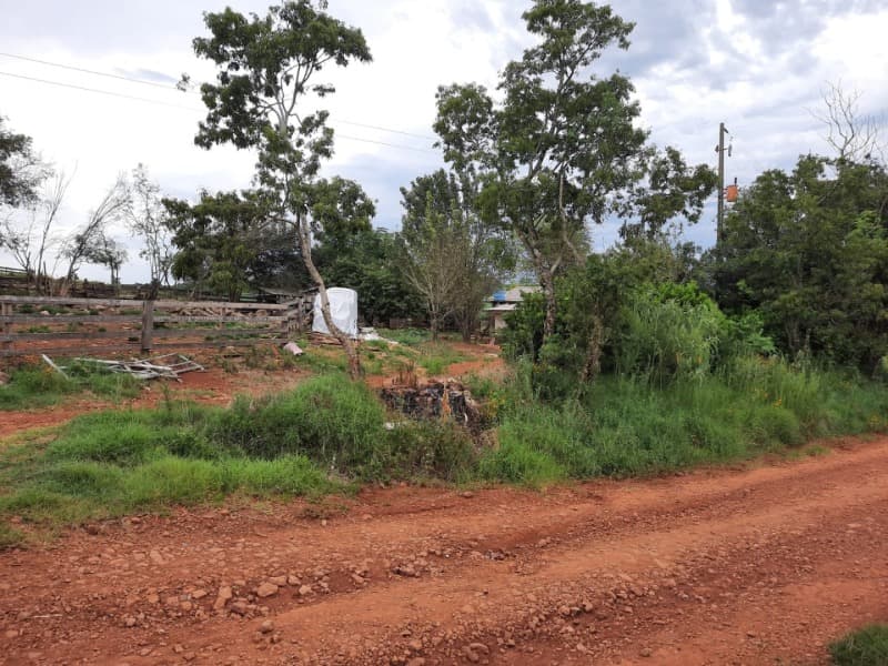 Foto 7 de 11: Terreno em leilão em Ibirapuitã - RS — LOTE 001 Imóvel